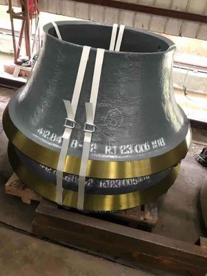 Aanvaardbaar OEM CS660 Crusher Wear Parts Mantel Concave voor Cone Crusher in Ore Mining