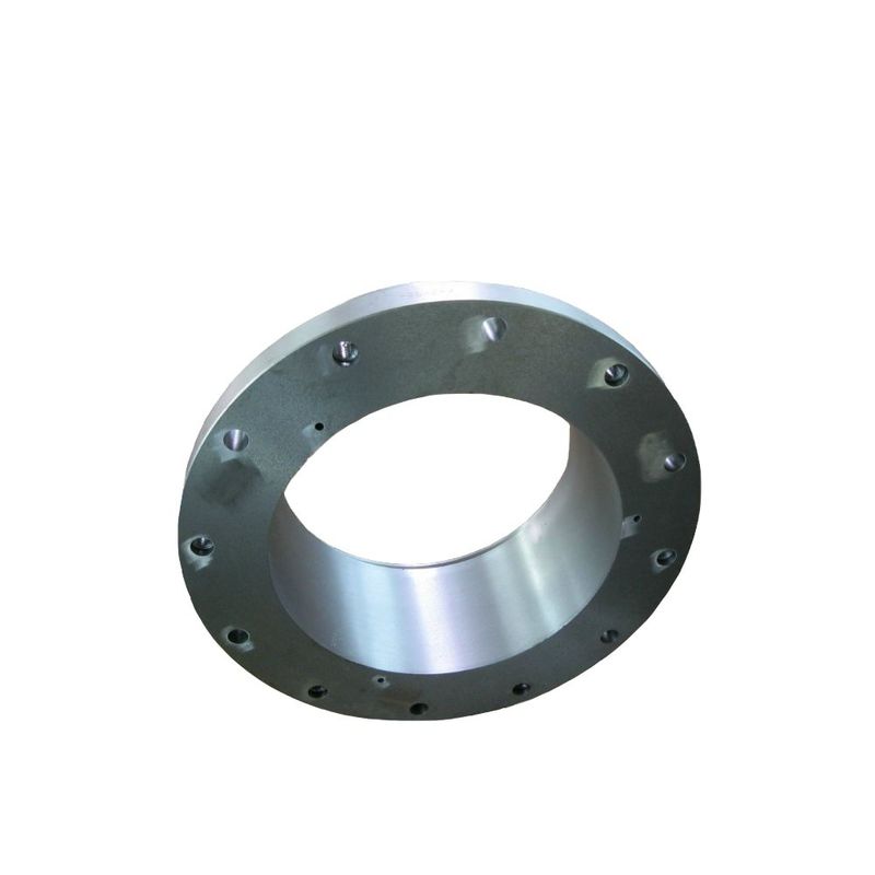 Spinarmschild van hoogmanganes staal voor H4800 kegelbreker